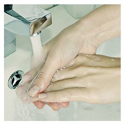 Close-up of hands being washed under running water, emphasising hygiene and cleanliness.